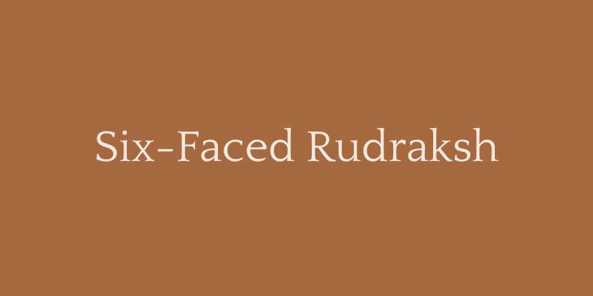 Six-Faced Rudraksh (6 Mukhi Rudraksha)